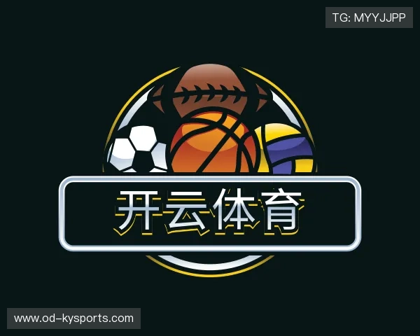 发现开云入口平台